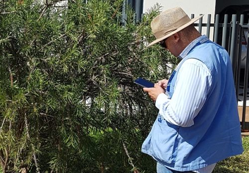 Vera Cruz do Oeste: DRZ conclui inventário de 100% da arborização